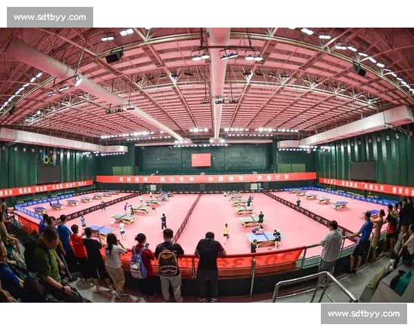 成都树德城厢学校乒乓球活动月热力来袭